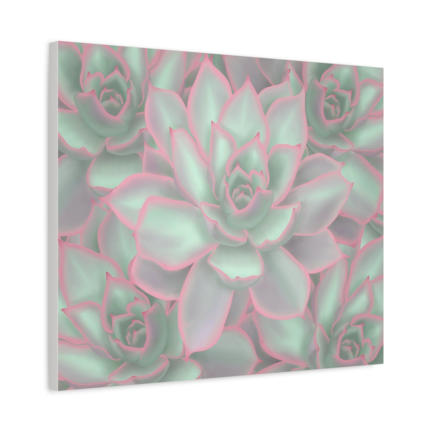 Echeveria Violet Queen Succulent Pattern Canvas Print – Botanical Wall Art