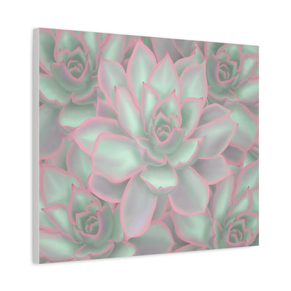 Echeveria Violet Queen Succulent Pattern Canvas Print – Botanical Wall Art