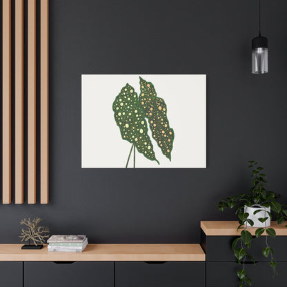Begonia Maculata Canvas Print – Botanical Wall Art