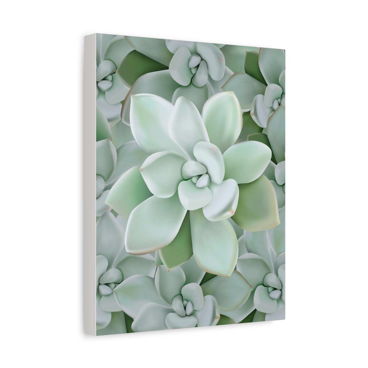Pachyveria Haagei Succulent Pattern Canvas Print – Botanical Wall Art