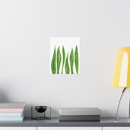 Snake Plant Botanical Print – Unframed Wall Art