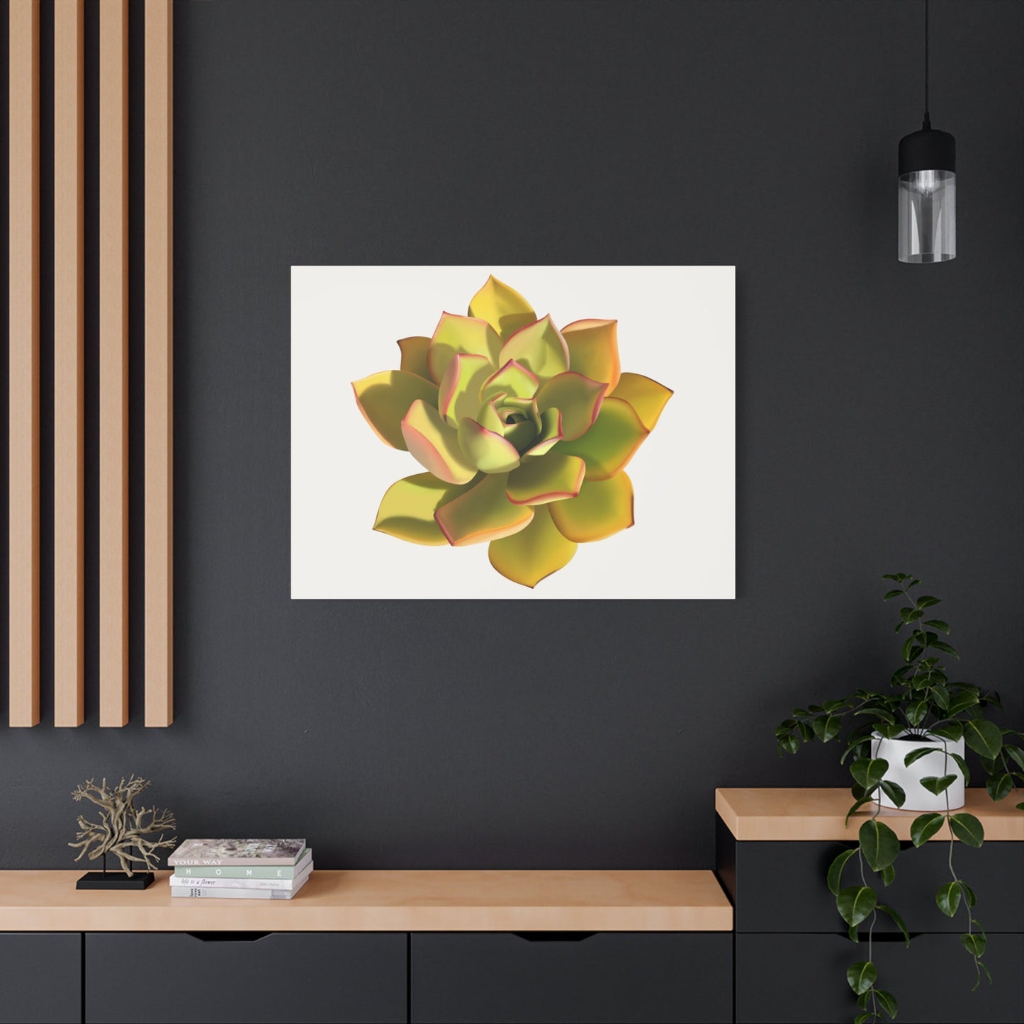 Noble Aeonium Succulent Canvas Print – Botanical Wall Art