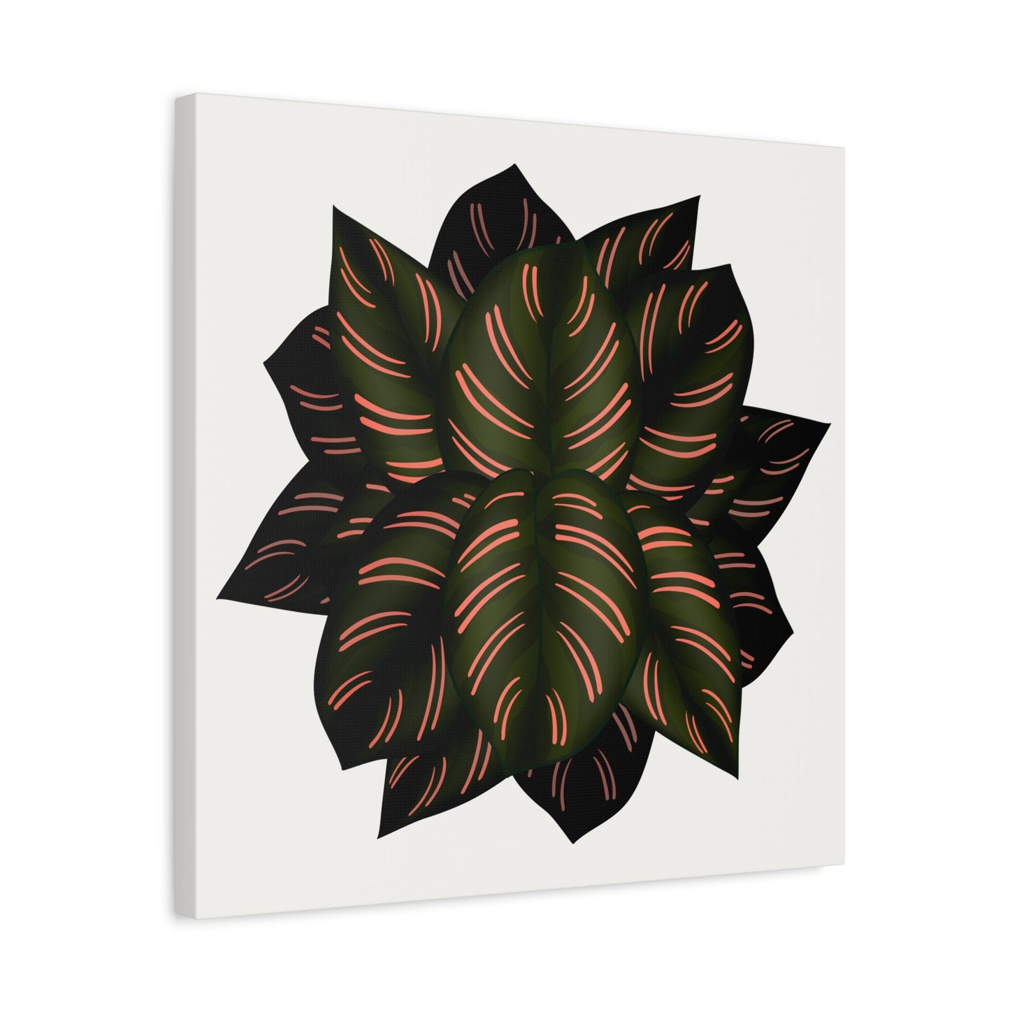 Calathea Pinstripe Canvas Print – Botanical Wall Art