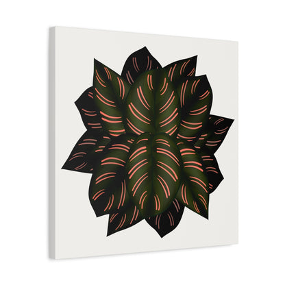 Calathea Pinstripe Canvas Print – Botanical Wall Art