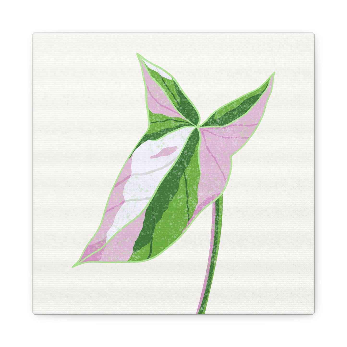 Syngonium Tricolor Canvas Print – Botanical Wall Art