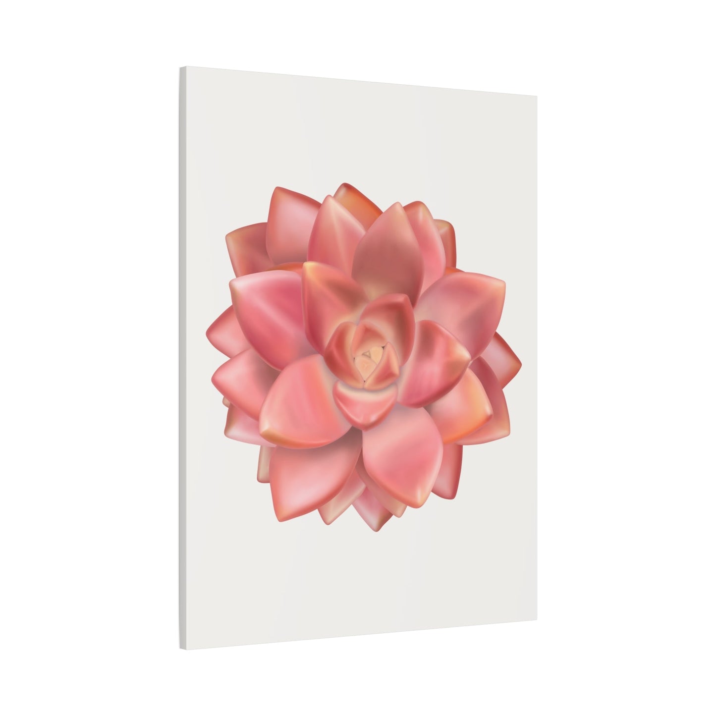 Graptosedum California Sunset Succulent Canvas Print – Botanical Wall Art