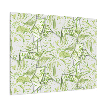 Snow Queen Pothos Pattern Canvas Print – Botanical Wall Art