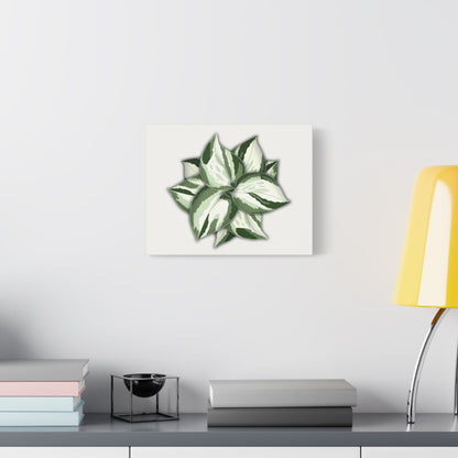 Manjula Pothos Canvas Print – Botanical Wall Art