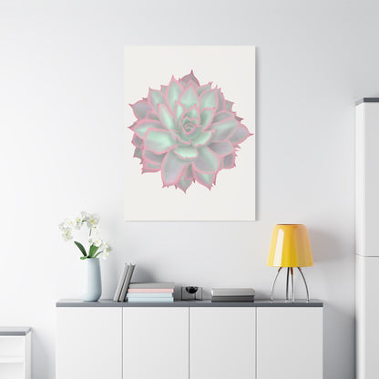 Echeveria Violet Queen Succulent Canvas Print – Botanical Wall Art