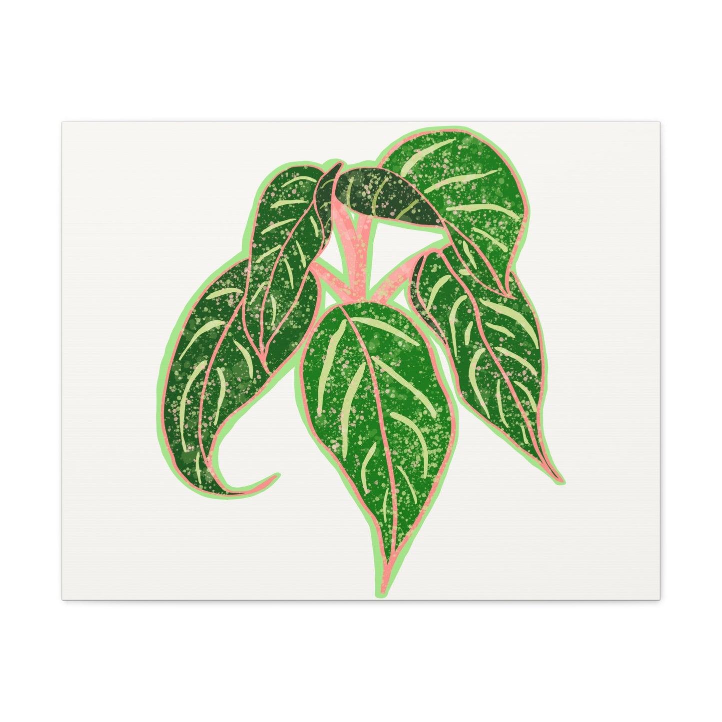 Aglaonema Sparkling Sarah Canvas Print – Botanical Wall Art