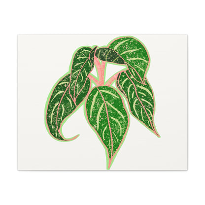 Aglaonema Sparkling Sarah Canvas Print – Botanical Wall Art