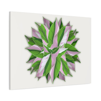 Syngonium Tricolor Pattern Canvas Print – Botanical Wall Art