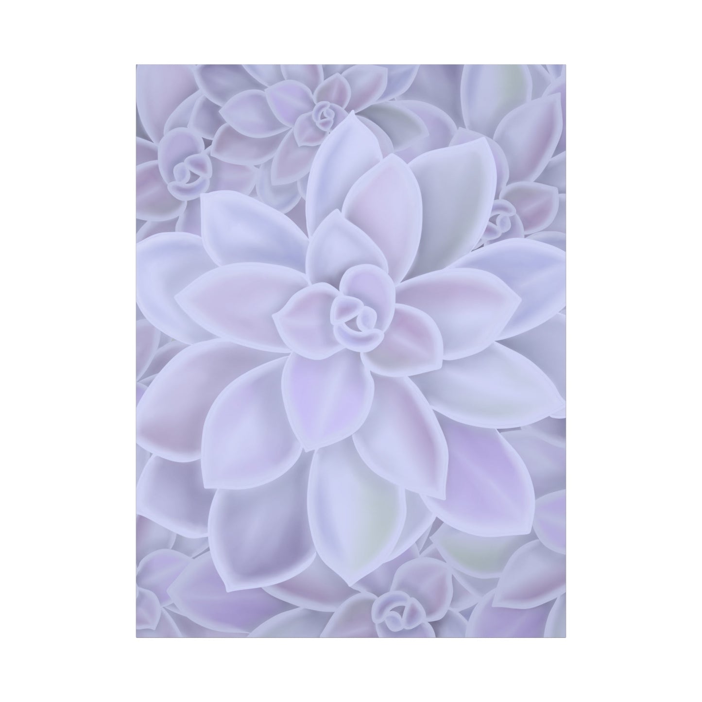 Graptopetalum Murasaki Succulent Pattern Canvas Print – Botanical Wall Art
