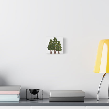 Coastal Redwood Canvas Print – Wall Art