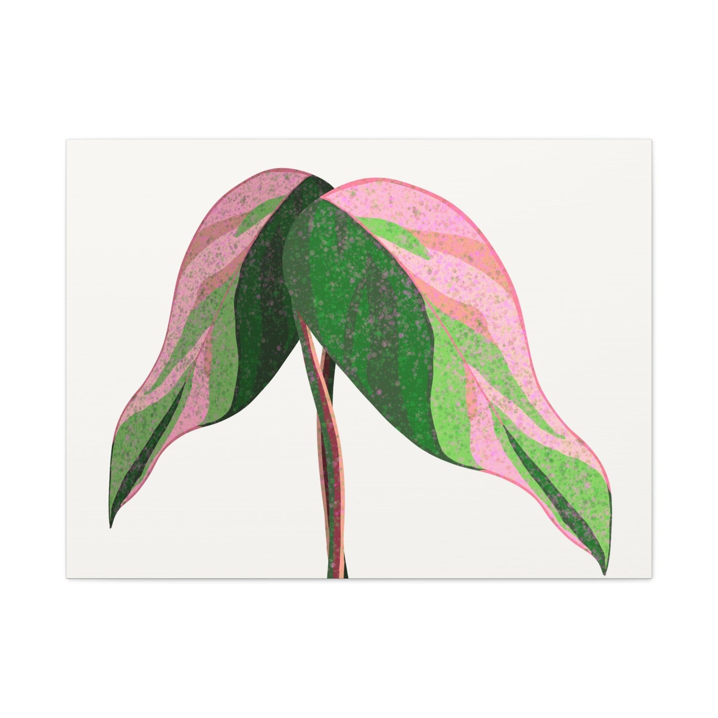 Pink Princess Philodendron Canvas Print – Botanical Wall Art