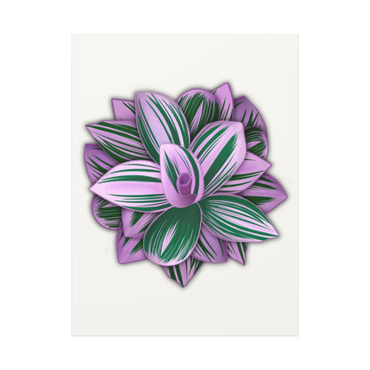 Tradescantia Nanouk Canvas Print – Botanical Wall Art