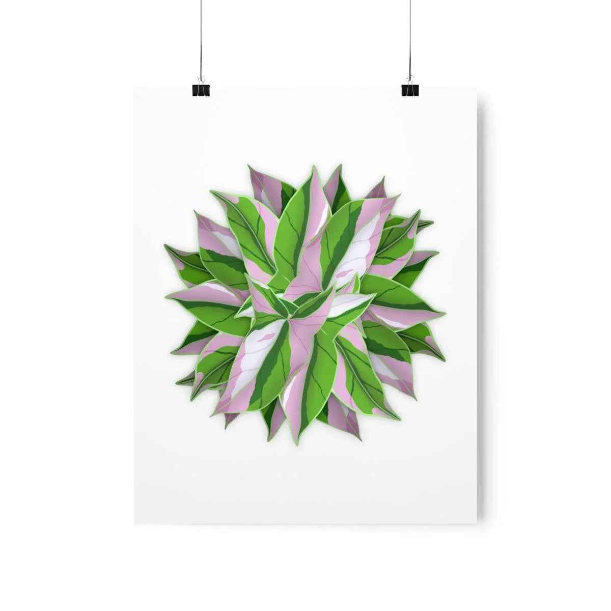 Syngonium Tricolor Pattern Botanical Print – Unframed Wall Art