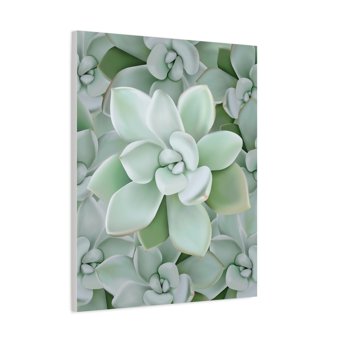Pachyveria Haagei Succulent Pattern Canvas Print – Botanical Wall Art