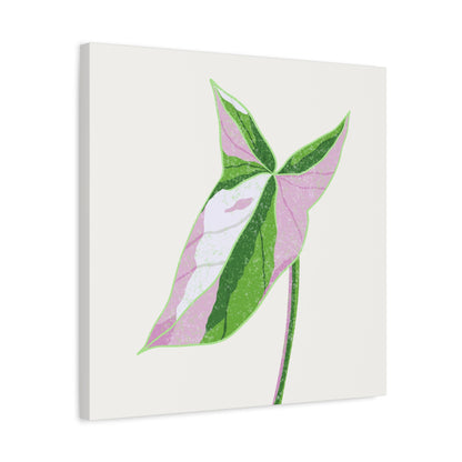 Syngonium Tricolor Canvas Print – Botanical Wall Art