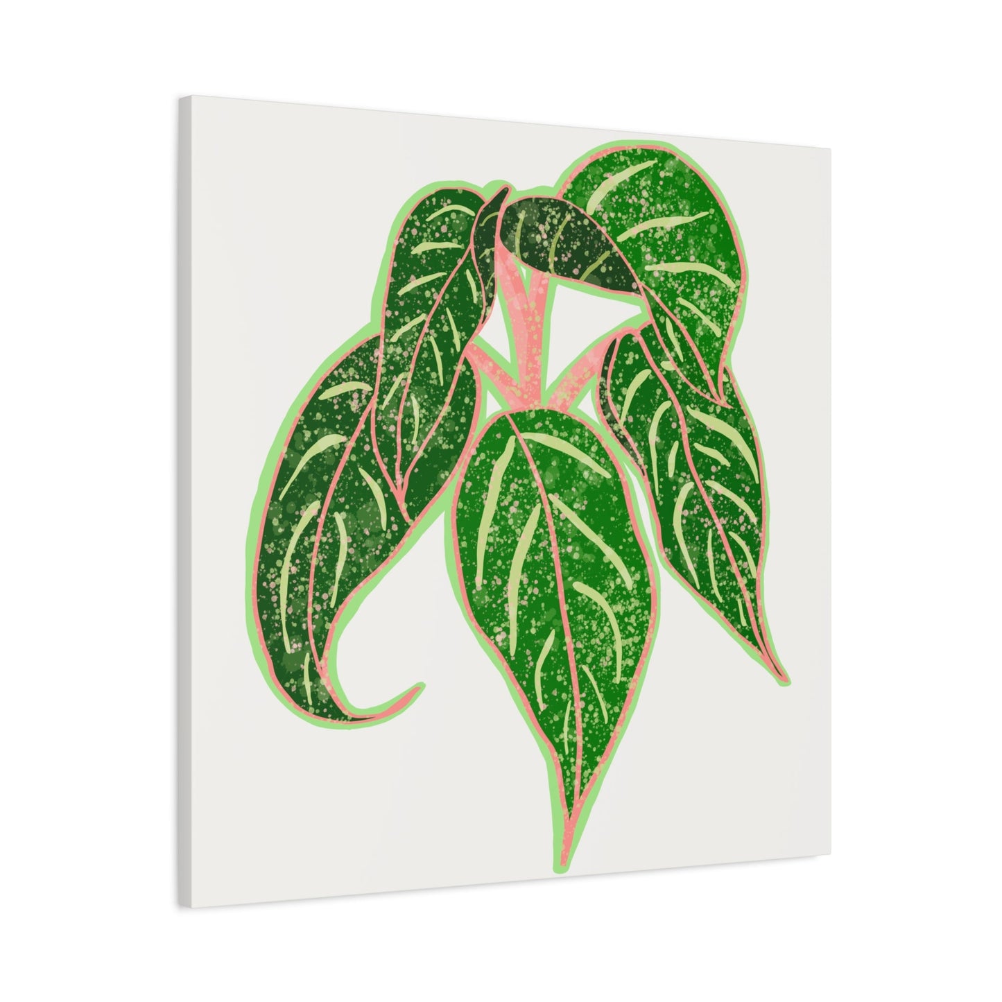 Aglaonema Sparkling Sarah Canvas Print – Botanical Wall Art