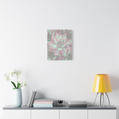 Echeveria Violet Queen Succulent Pattern Canvas Print – Botanical Wall Art