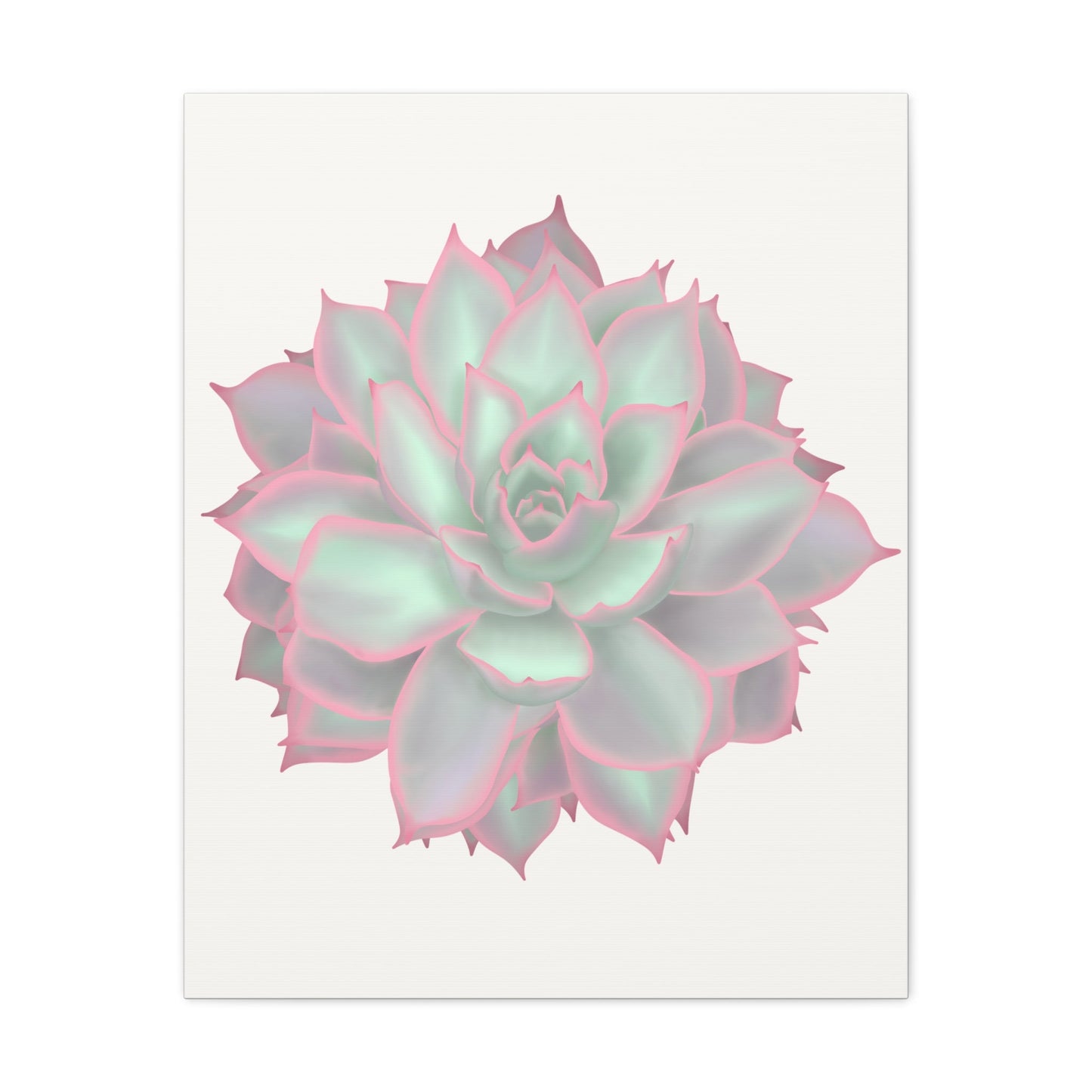Echeveria Violet Queen Succulent Canvas Print – Botanical Wall Art