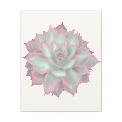 Echeveria Violet Queen Succulent Canvas Print – Botanical Wall Art