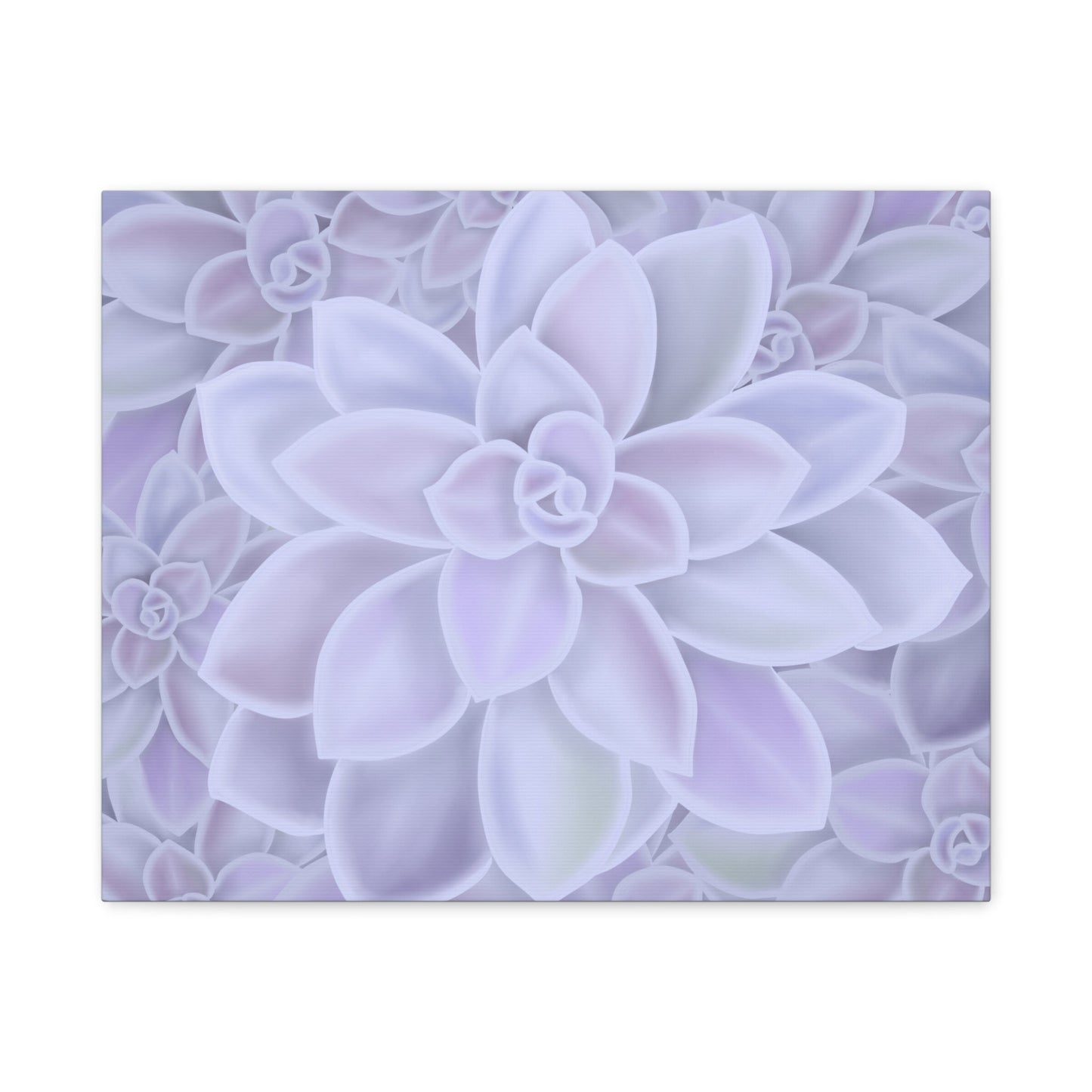 Graptopetalum Murasaki Succulent Pattern Canvas Print – Botanical Wall Art