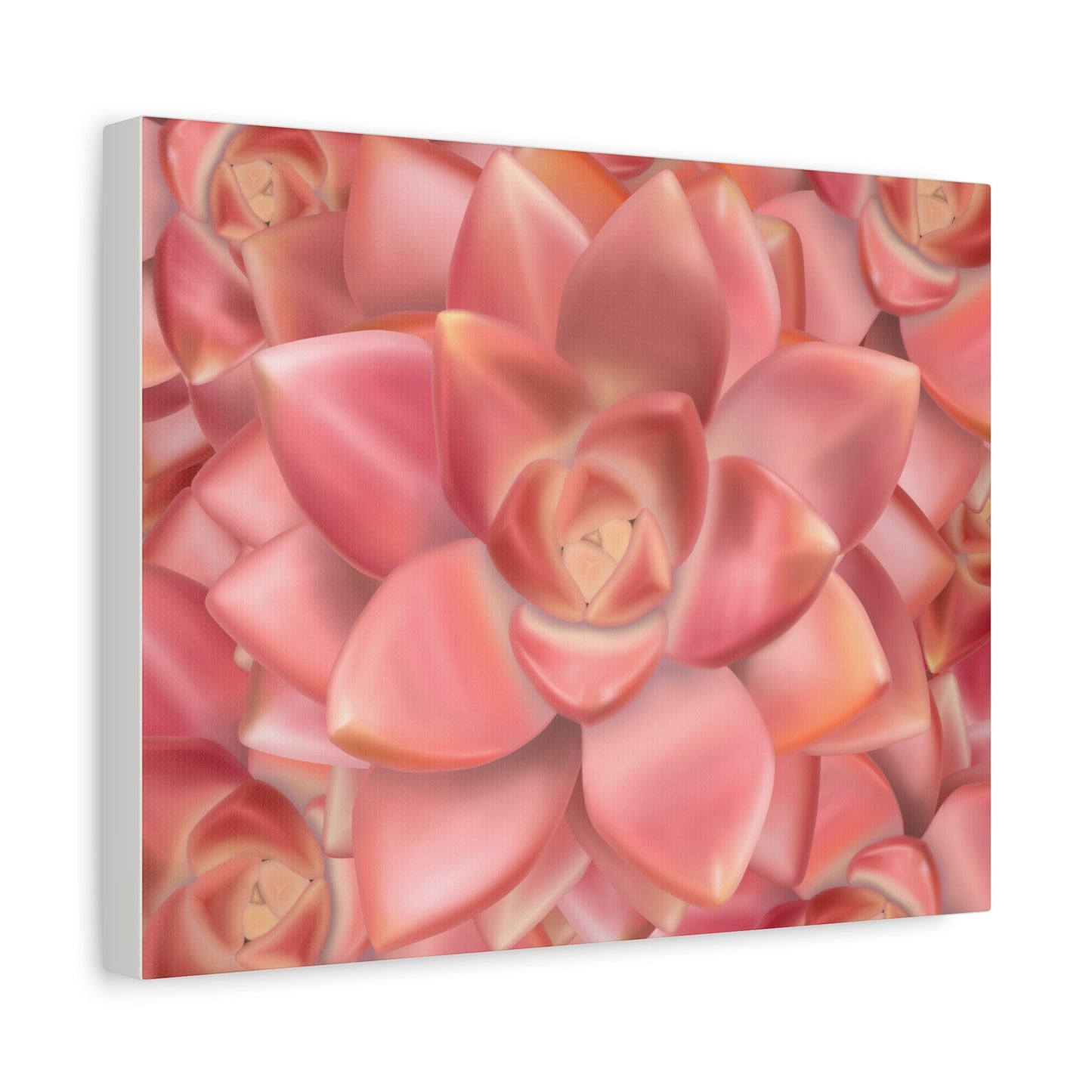 Graptosedum California Sunset Succulent Pattern Canvas Print – Botanical Wall Art