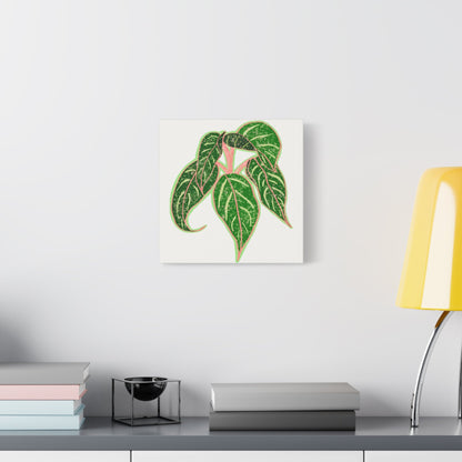 Aglaonema Sparkling Sarah Canvas Print – Botanical Wall Art