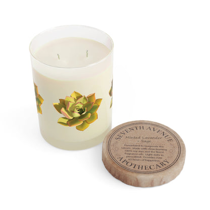 Noble Aeonium Succulent Soy Candle 11 oz – Three Scent Options