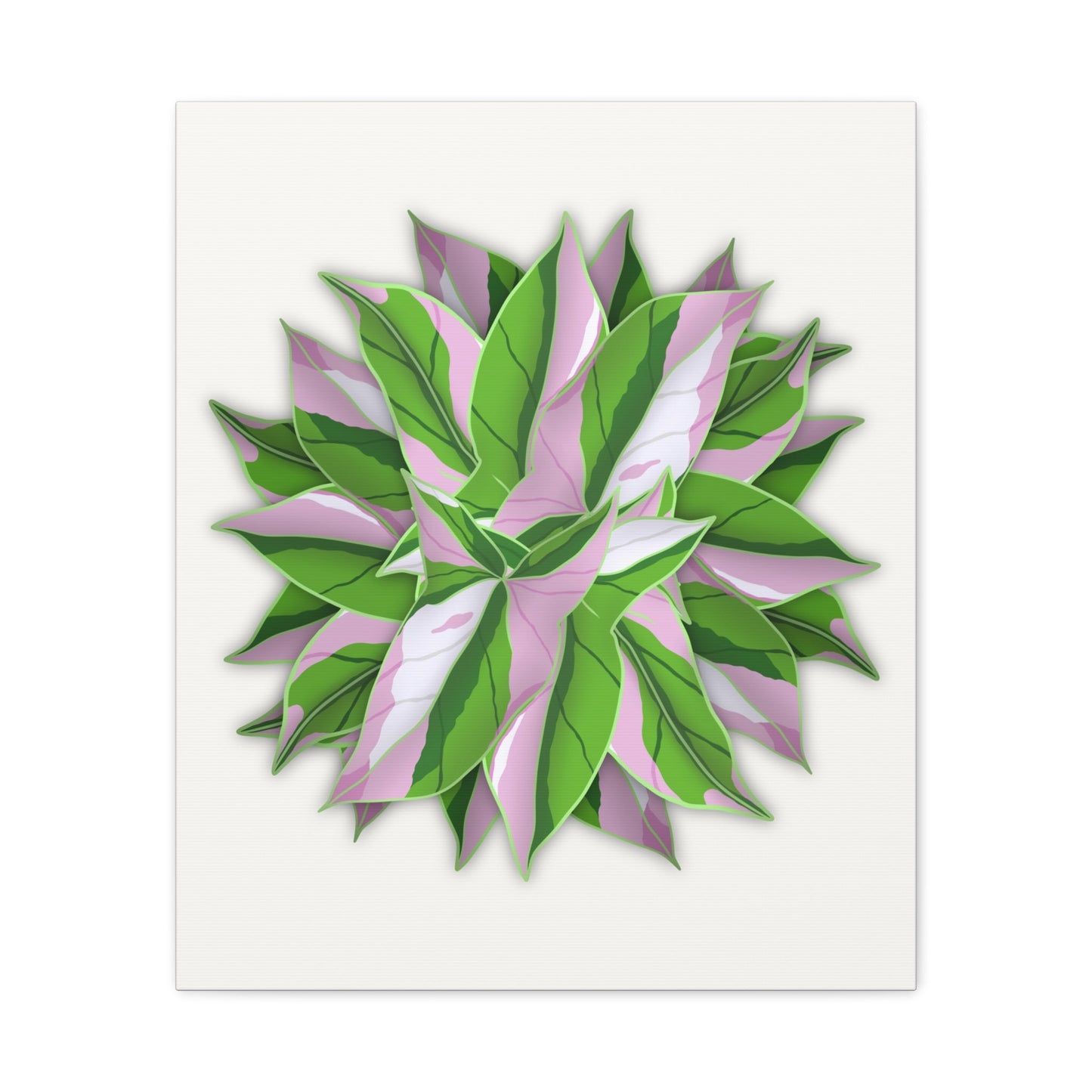 Syngonium Tricolor Pattern Canvas Print – Botanical Wall Art