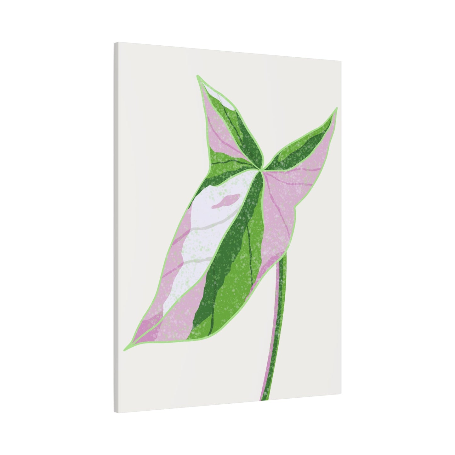 Syngonium Tricolor Canvas Print – Botanical Wall Art