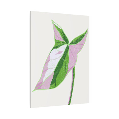 Syngonium Tricolor Canvas Print – Botanical Wall Art