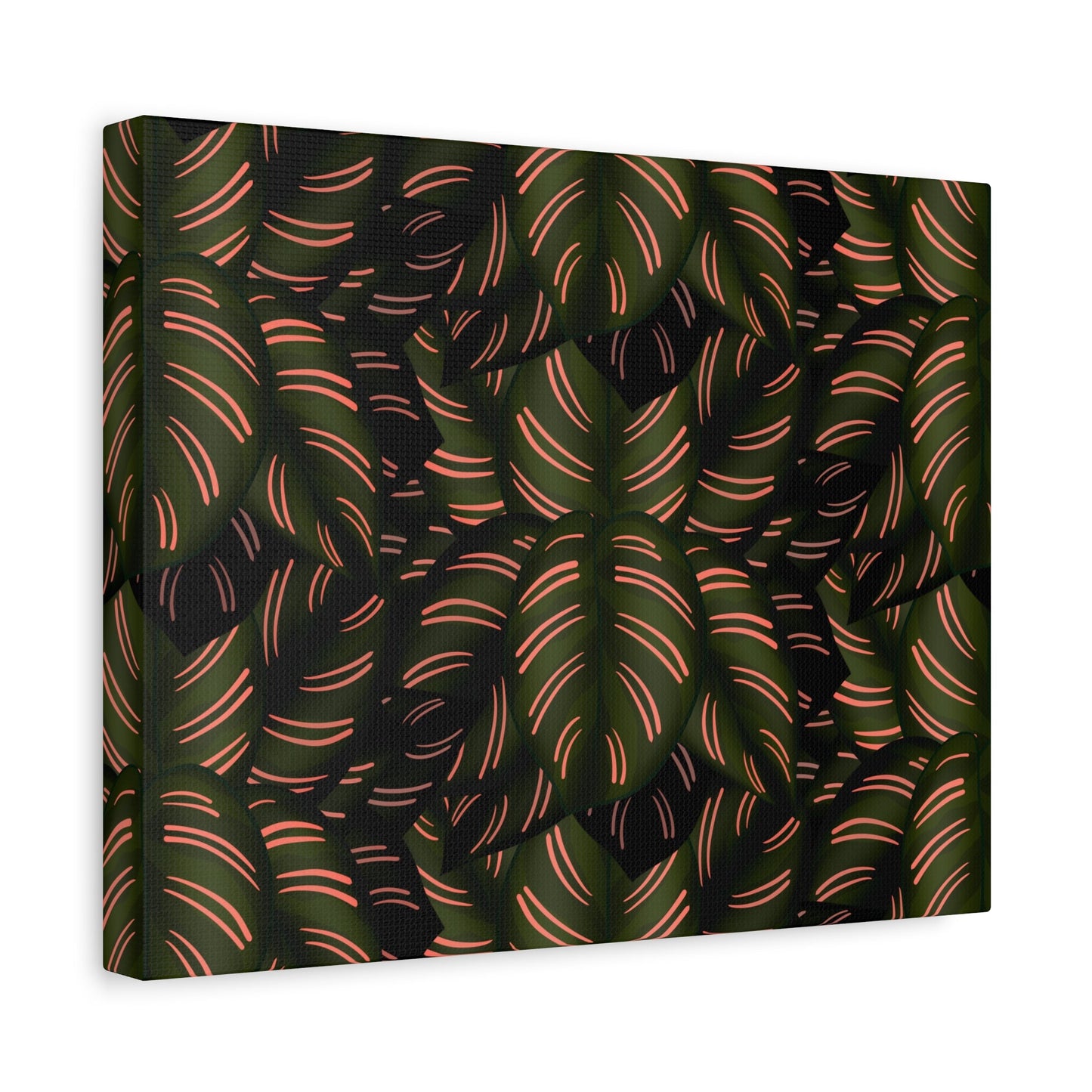 Calathea Pinstripe Pattern Canvas Print – Botanical Wall Art