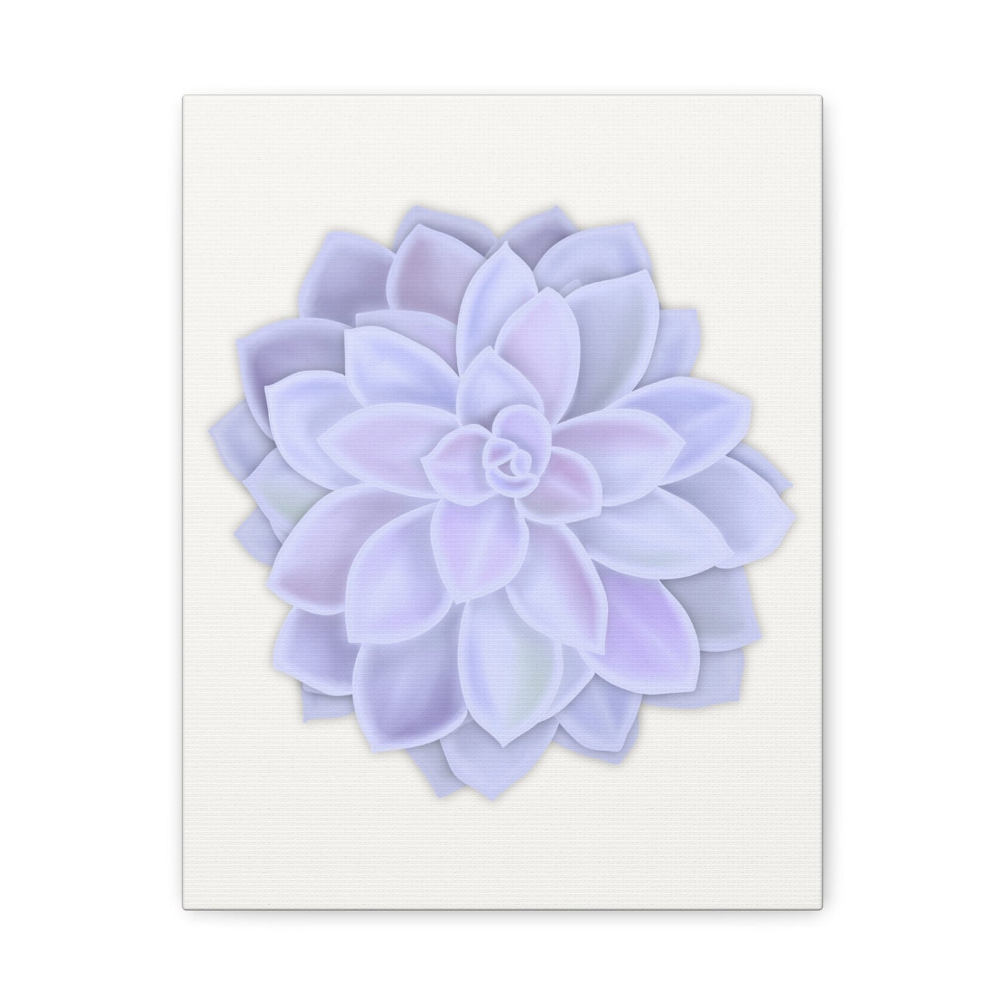 Graptopetalum Murasaki Succulent Canvas Print – Botanical Wall Art