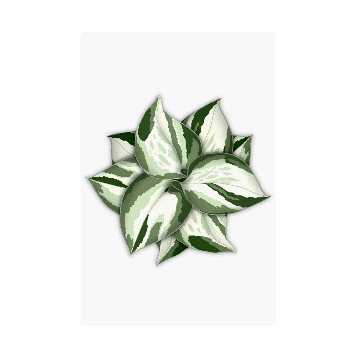 Manjula Pothos Botanical Print – Unframed Wall Art
