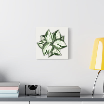 Manjula Pothos Canvas Print – Botanical Wall Art
