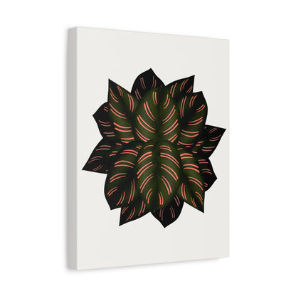 Calathea Pinstripe Canvas Print – Botanical Wall Art