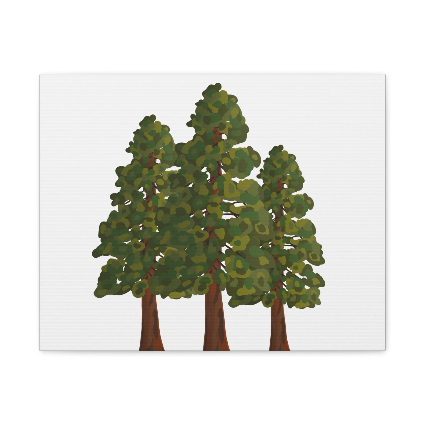 Coastal Redwood Canvas Print – Wall Art