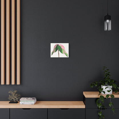 Pink Princess Philodendron Canvas Print – Botanical Wall Art