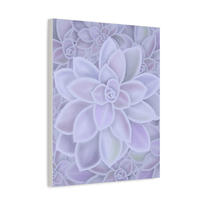 Graptopetalum Murasaki Succulent Pattern Canvas Print – Botanical Wall Art