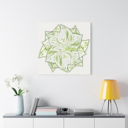 Snow Queen Pothos Canvas Print – Botanical Wall Art