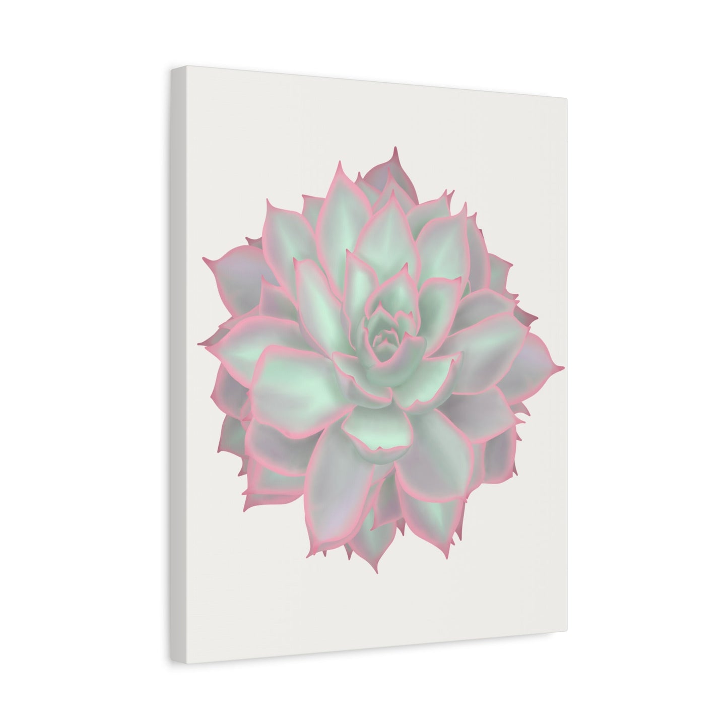 Echeveria Violet Queen Succulent Canvas Print – Botanical Wall Art