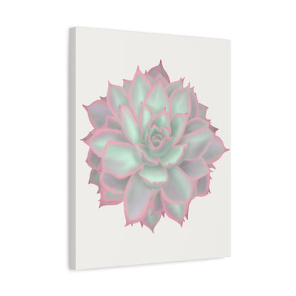 Echeveria Violet Queen Succulent Canvas Print – Botanical Wall Art