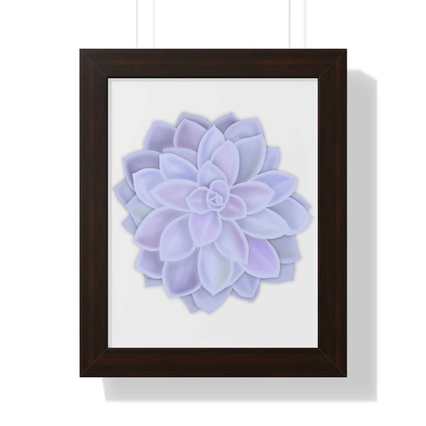 Graptopetalum Murasaki Succulent Framed Print – Botanical Wall Art