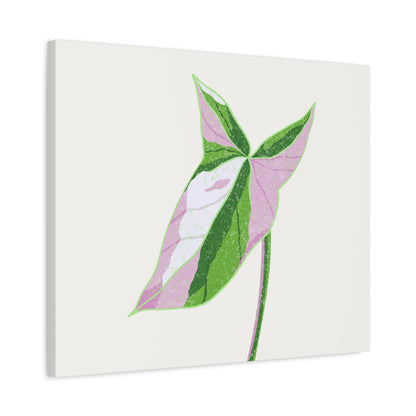 Syngonium Tricolor Canvas Print – Botanical Wall Art