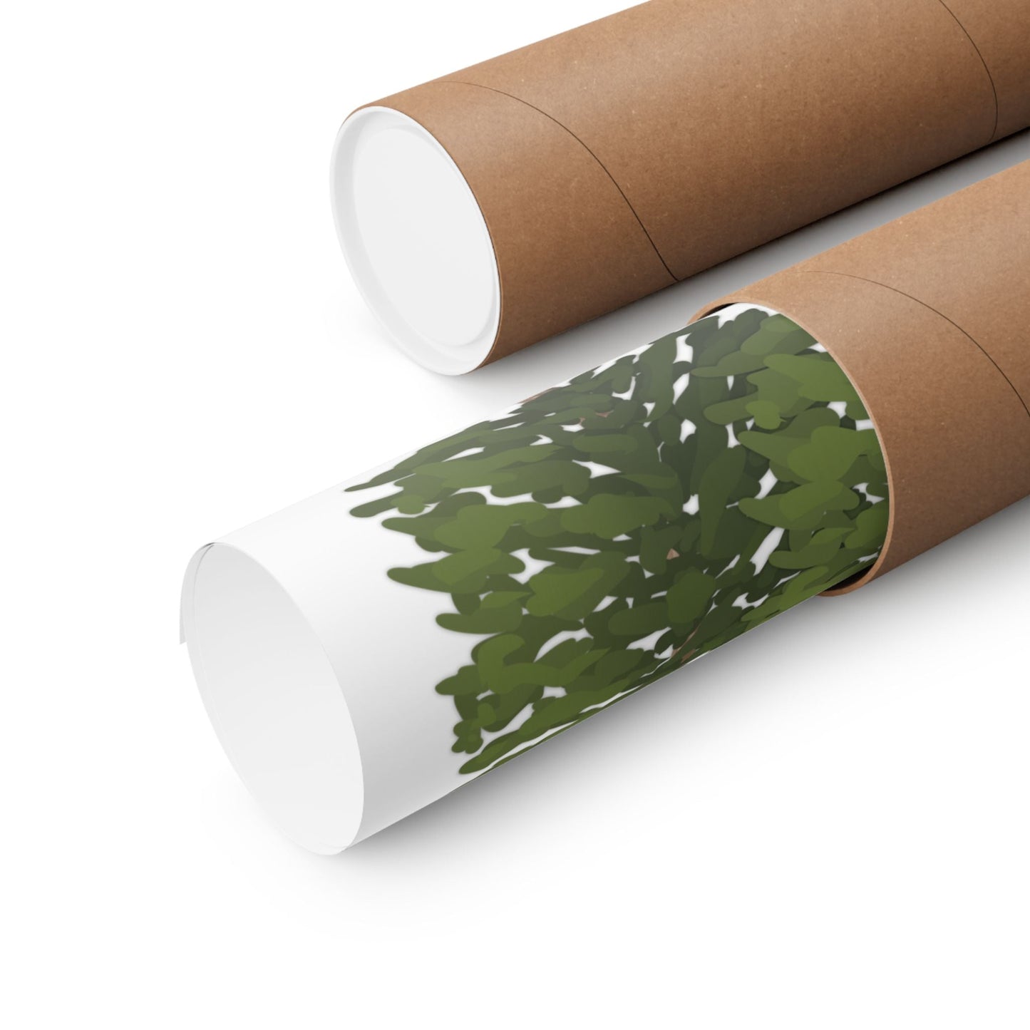 Ponderosa Pine Print – Unframed Wall Art