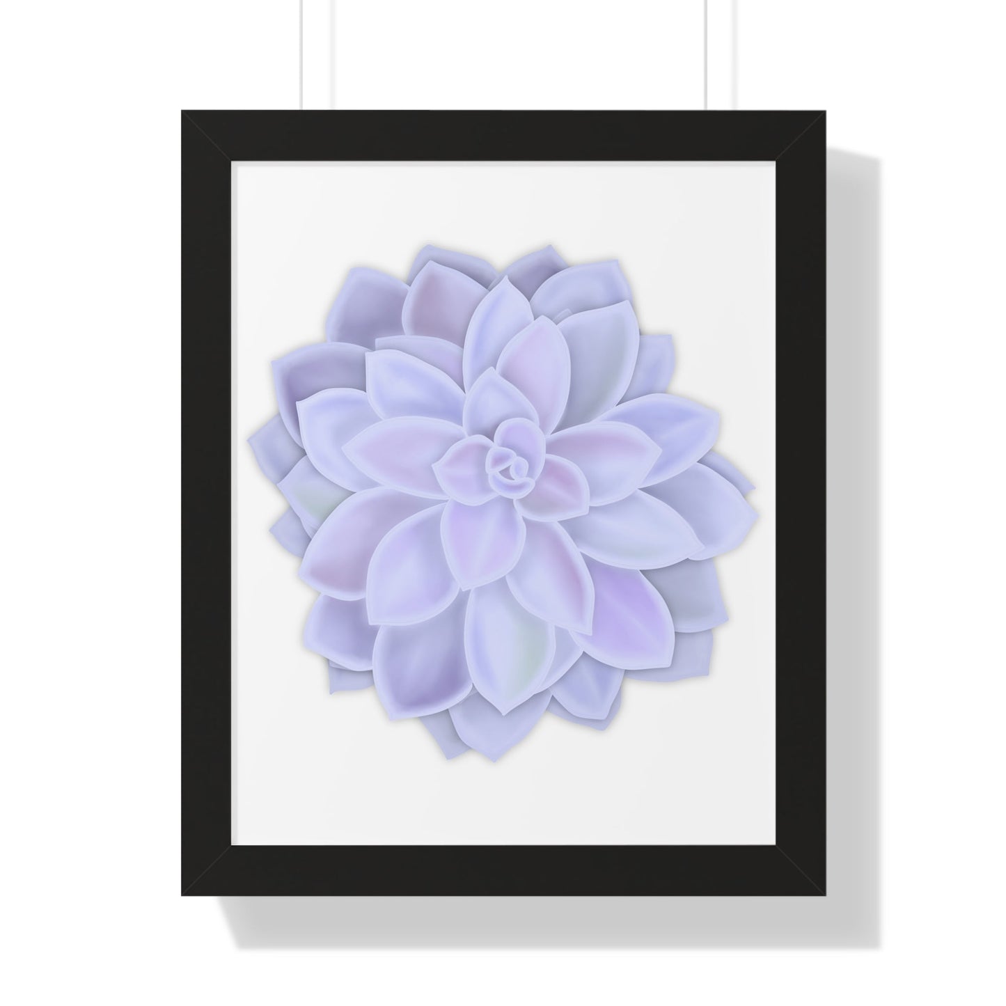 Graptopetalum Murasaki Succulent Framed Print – Botanical Wall Art