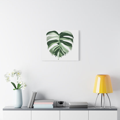 Melting Monstera Albo Canvas Print – Botanical Wall Art